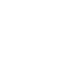 Steam